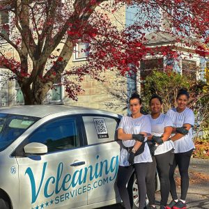 Team V Cleaning Services